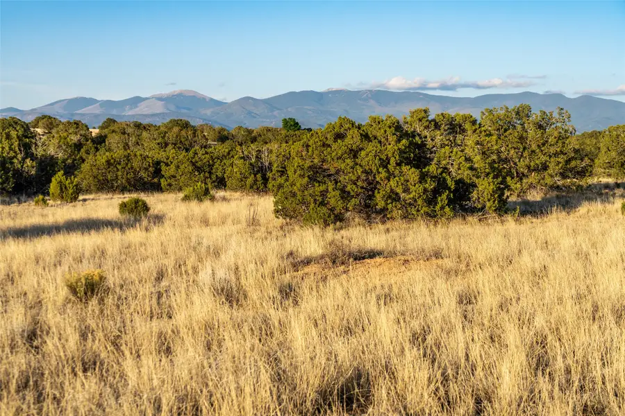 64 Chisholm Trail, Santa Fe, NM 87506 - #3