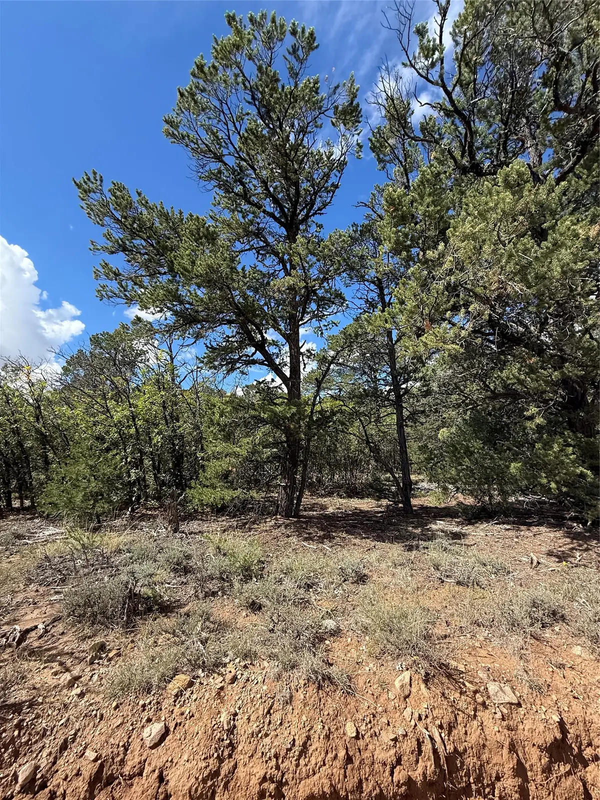 Lot 180, Lot 181, Lot 223 San Pedro Estates #3, Regina, NM 87046 - #1