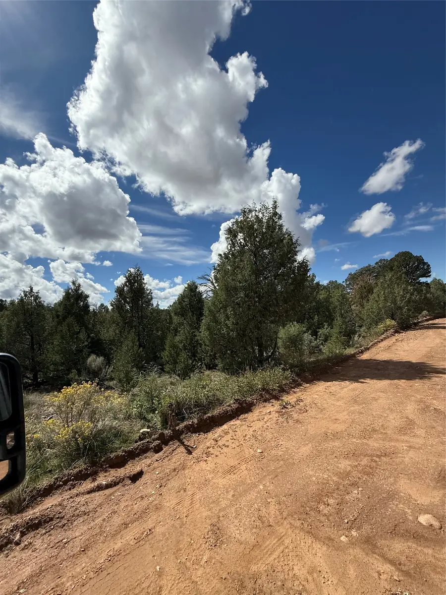 Lot 180, Lot 181, Lot 223 San Pedro Estates #3, Regina, NM 87046 - #2