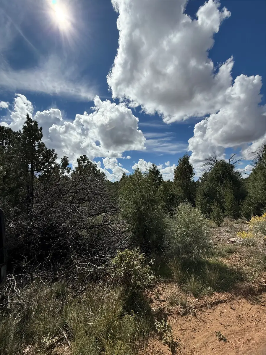 Lot 180, Lot 181, Lot 223 San Pedro Estates #3, Regina, NM 87046 - #3