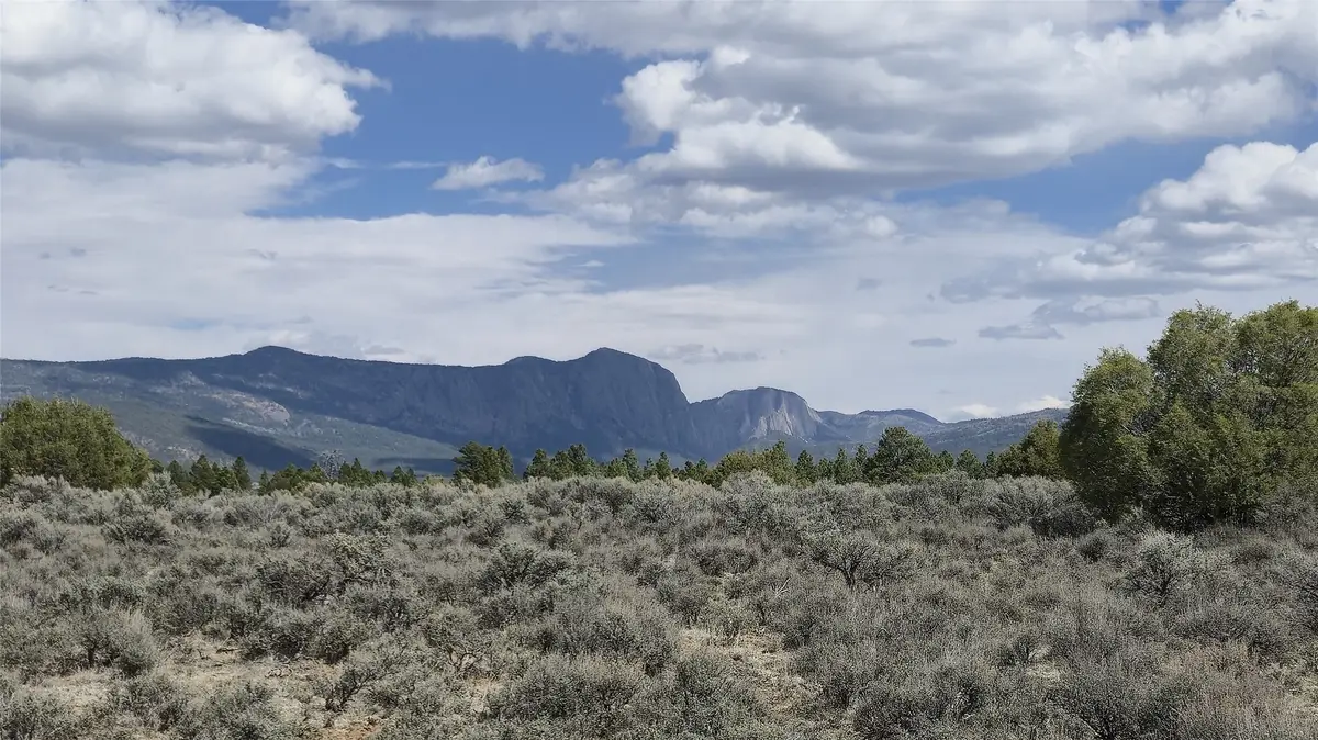 XX County Rd 339a, Los Ojos, NM 87551 - #1