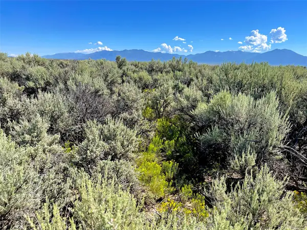 XX Rim Road Cb-115 (parcel A Rancho Sabina Desgeorges, Taos, NM 85717