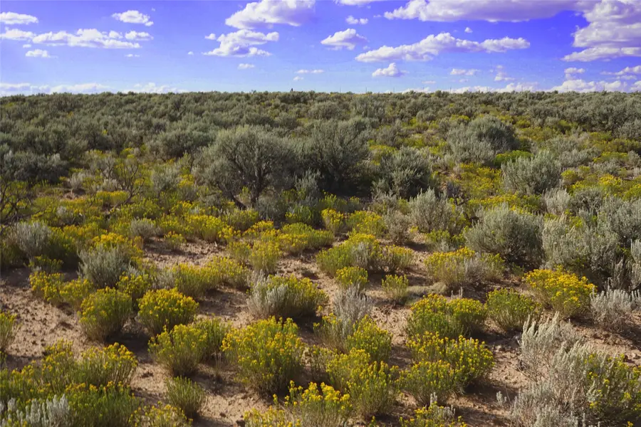 XX Rim Road Cb-115 (parcel A Rancho Sabina Desgeorges, El Prado, NM 85717 - #2