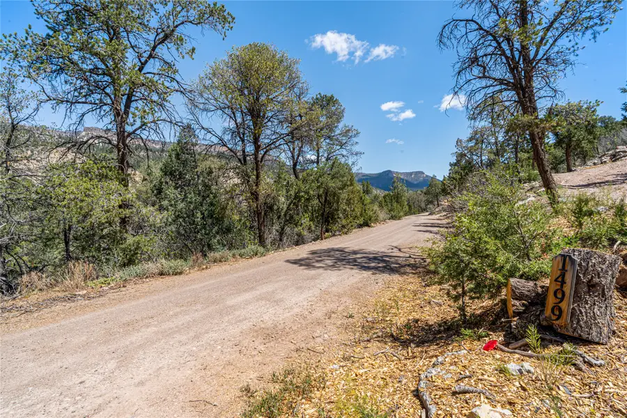 1499 San Diego Loop, Jemez Springs, NM 87025 - #3