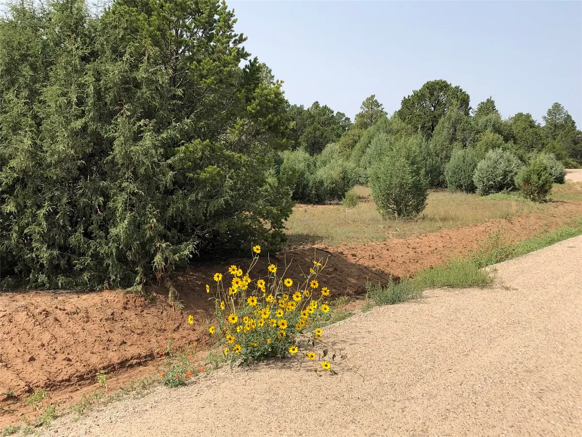 000 Silver Feather Trail, Pecos, NM 87552 - #1