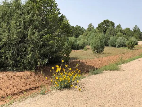 000 Silver Feather Trail, Pecos, NM 87552