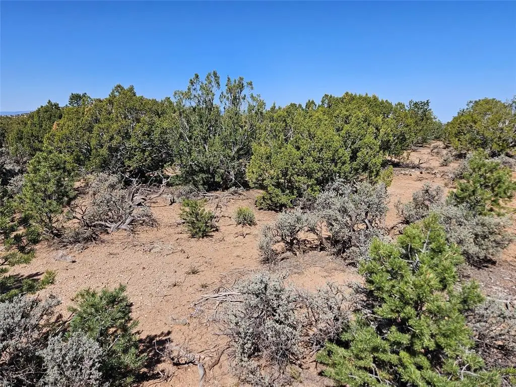 7 Laguna Vista Drive, Chimayo, NM 87522 - #1
