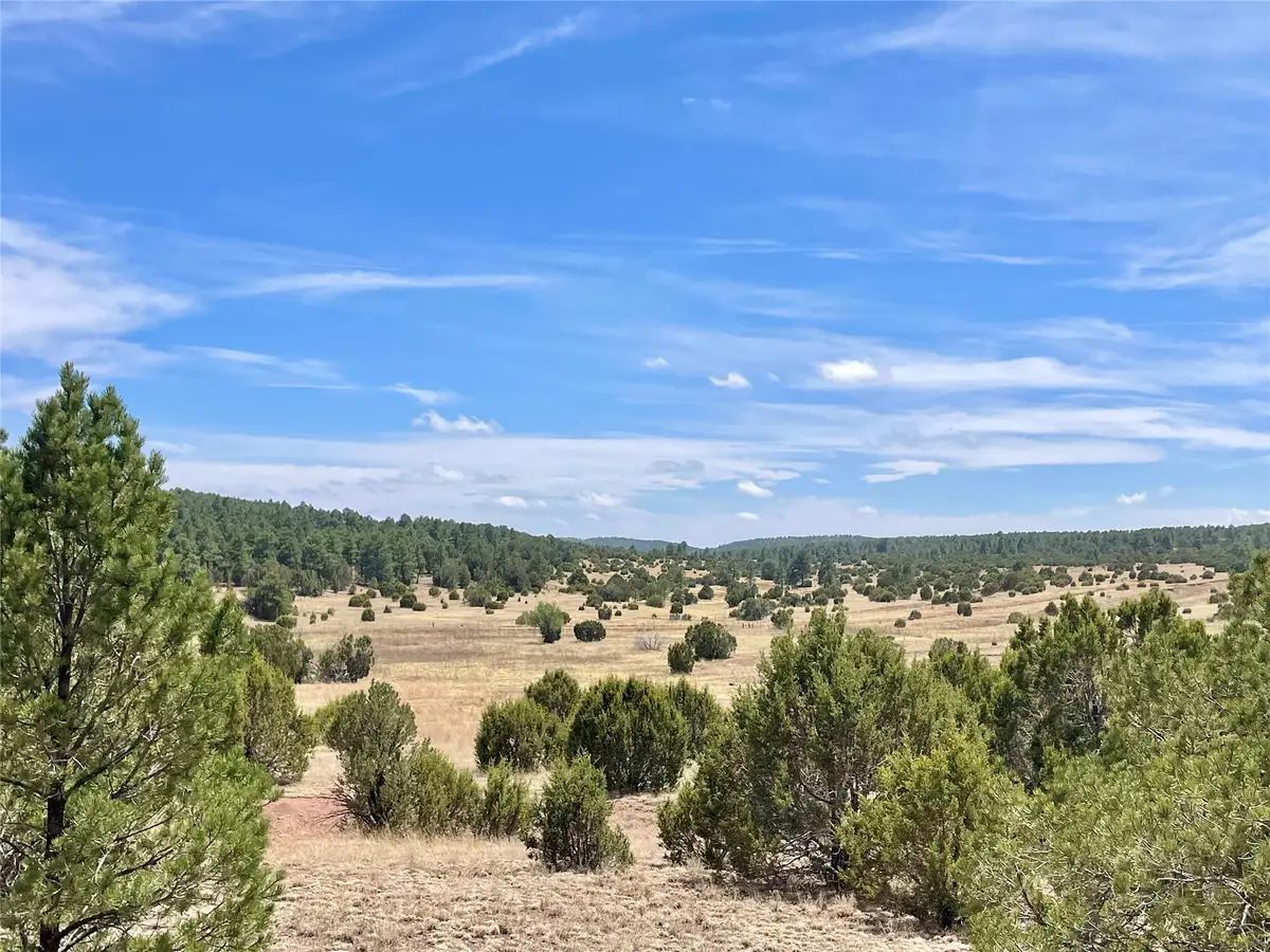331 Mirasol Road, Las Vegas, NM 87701 - #1