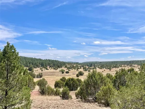 331 Mirasol Road, Las Vegas, NM 87701