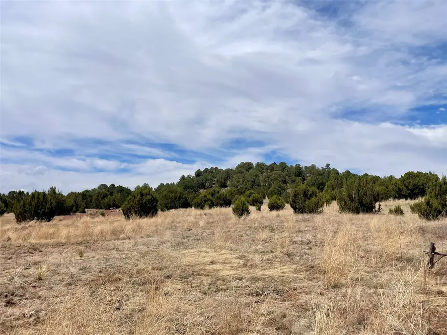 331 Mirasol Road, Las Vegas, NM 87701 - #3