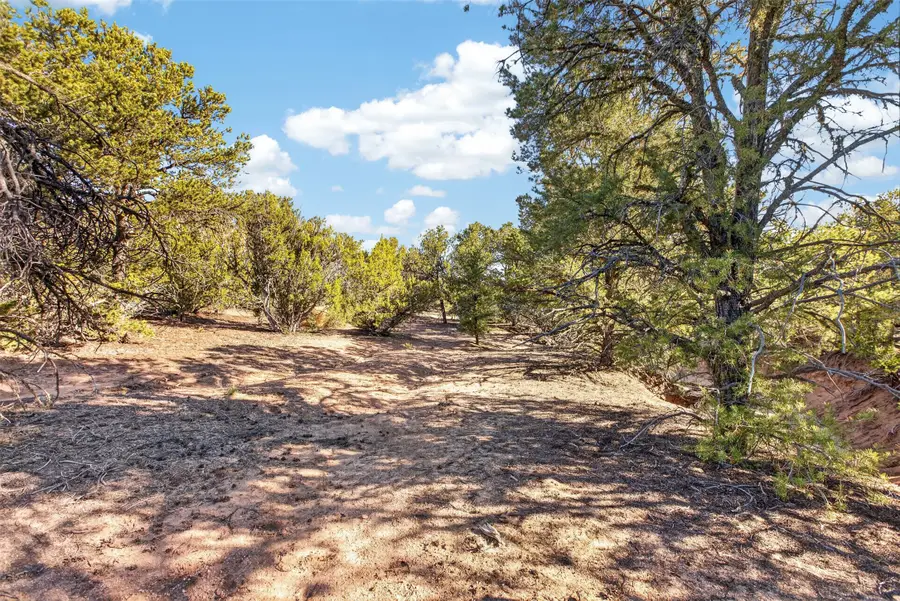4021 Via Verdi, Lot 228, Santa Fe, NM 87506 - #3