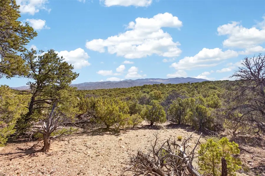 4028 Via Verdi, Lot 230, Santa Fe, NM 87506 - #2