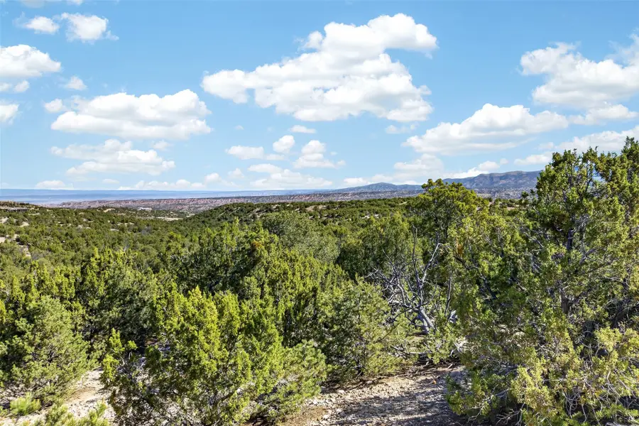 4025 Via Verdi, Lot 229, Santa Fe, NM 87506 - #2