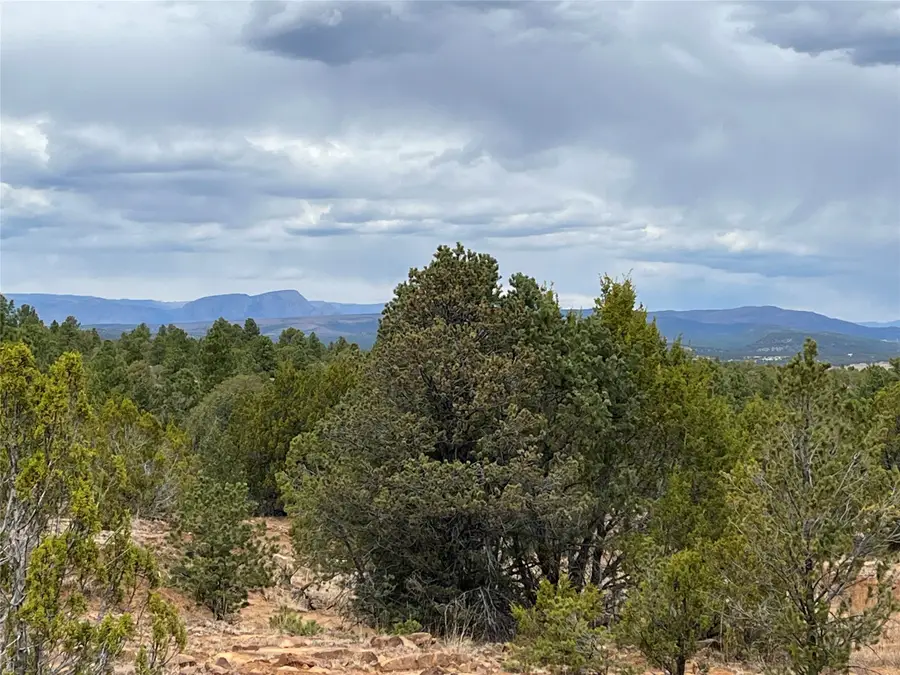 36 Blue Sky Road Lot 2, Las Vegas, NM 87701 - #2