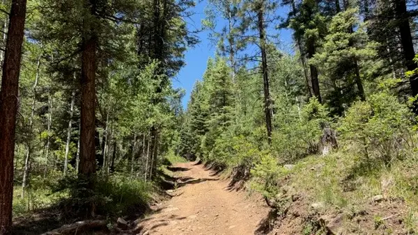4.29 Acres Sawyer Mesa Road, Pecos, NM 87552