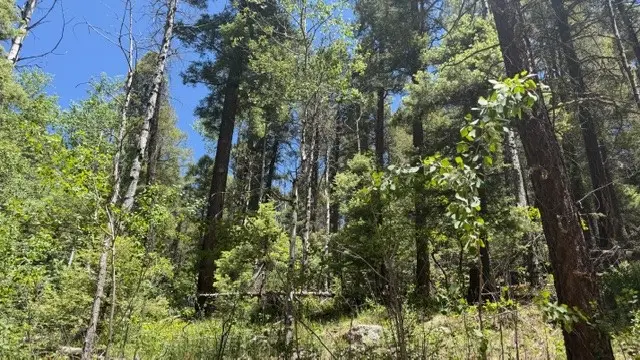 4.29 Acres Sawyer Mesa Road, Pecos, NM 87552 - #2