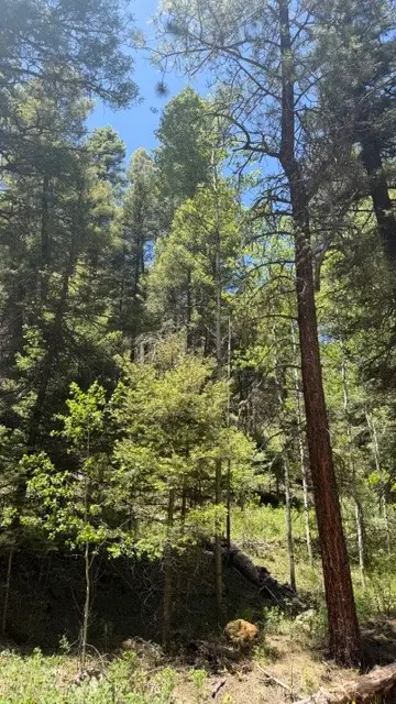 4.29 Acres Sawyer Mesa Road, Pecos, NM 87552 - #3