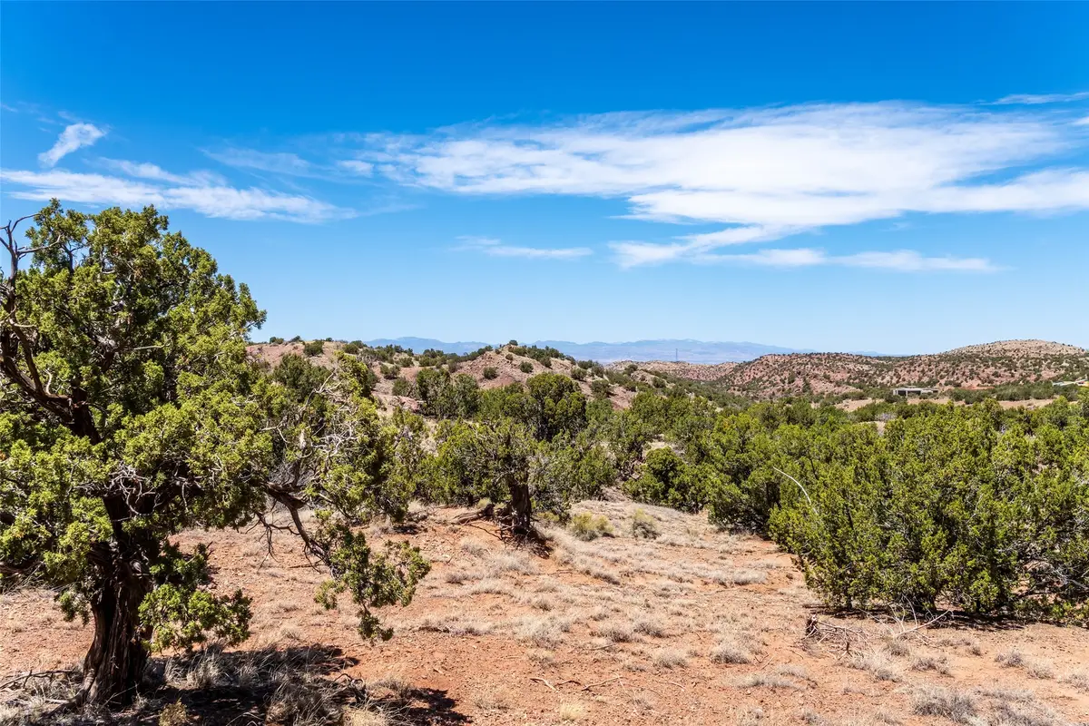 208-210 Purple Aster, Placitas, NM 87043 - #1