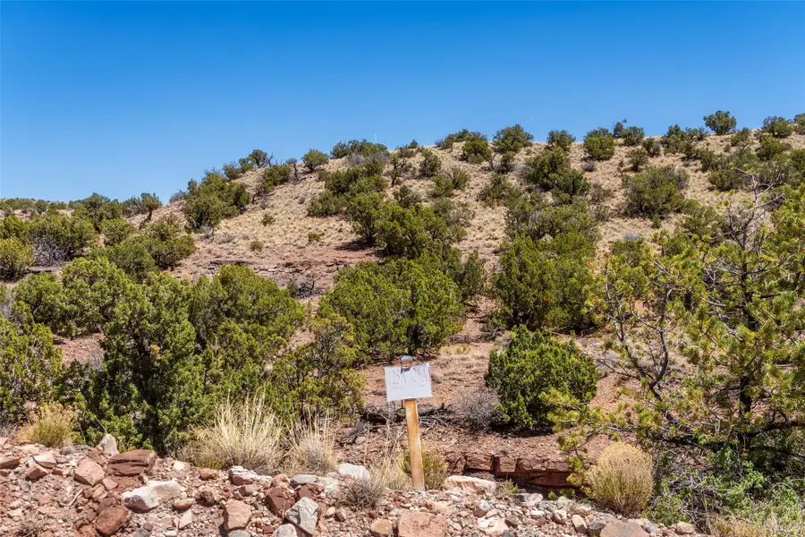 208-210 Purple Aster, Placitas, NM 87043 - #2