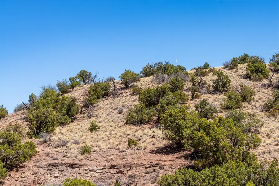 208-210 Purple Aster, Placitas, NM 87043 - #3