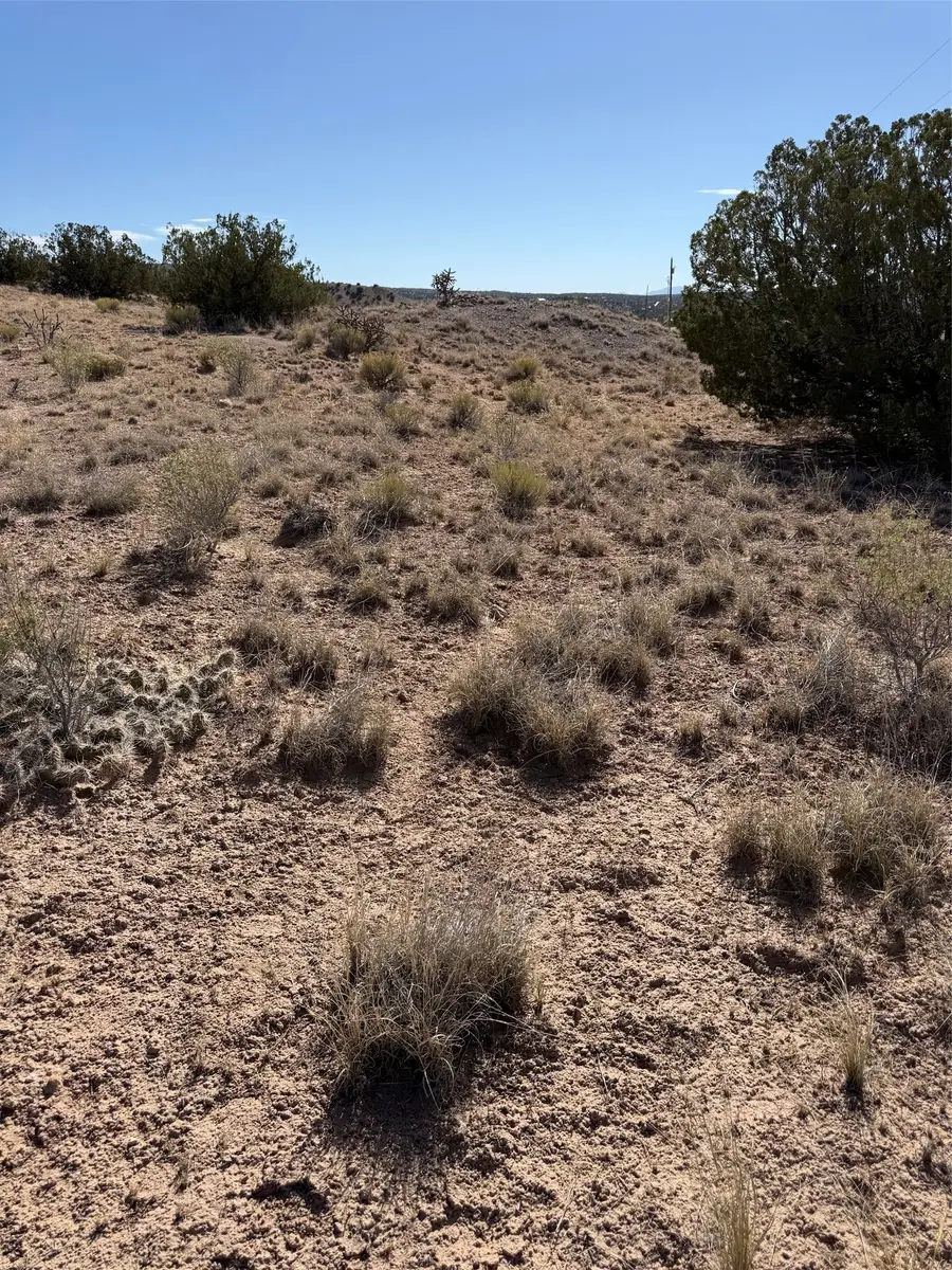 TBD Pueblo Drive, Abiquiu, NM 87510 - #3