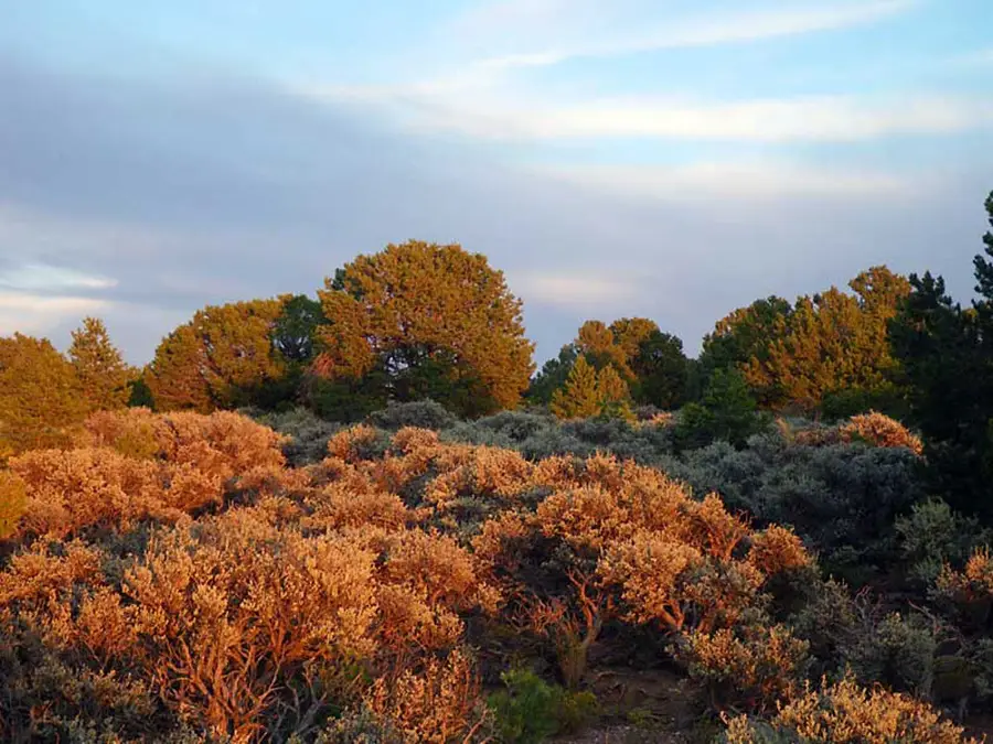 Lot 25 Estancias Atalaya, Ranchos De Taos, NM 87557 - #2