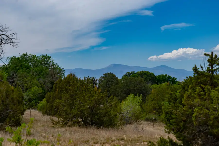 7 Rancho De Ortiz, Santa Fe, NM 87506 - #3