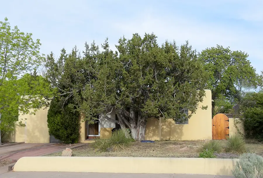 1303 Morelia Street, Santa Fe, NM 87505 - #2