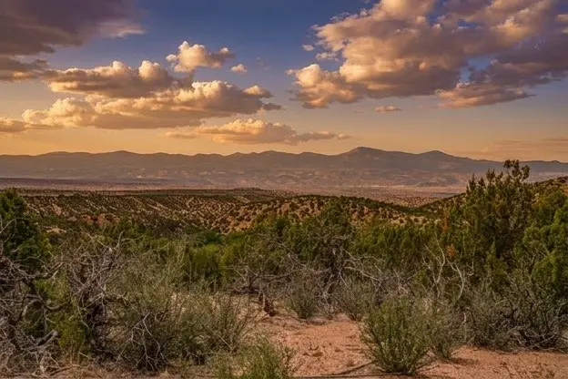 24 Rancho De Ortiz #A, B, C., Santa Fe, NM 87506 - #3