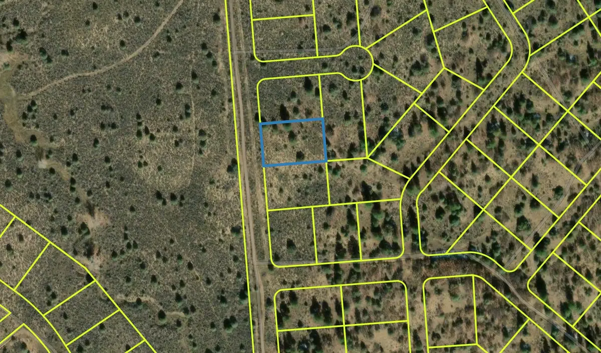 TBD .50 ACRE Tierra Amarilla, Tierra Amarilla, NM 87575 - #1