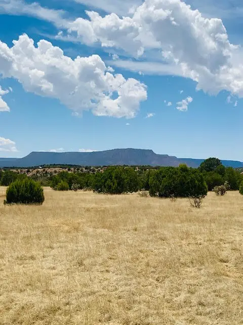 16.03 acres County Road B55, Ribera, NM 87565 - #1