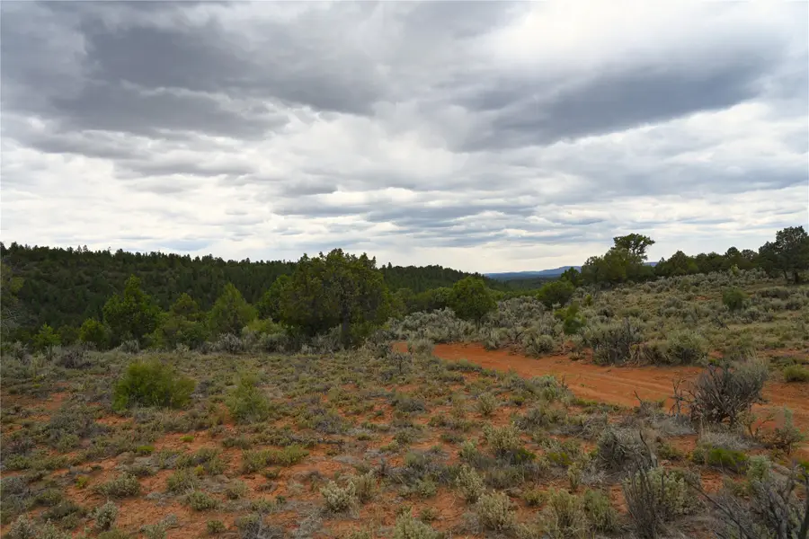 00 Nm Sr 112, Tierra Amarilla, NM 87575 - #2