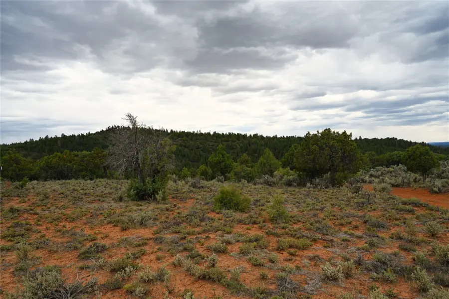 00 Nm Sr 112, Tierra Amarilla, NM 87575 - #3