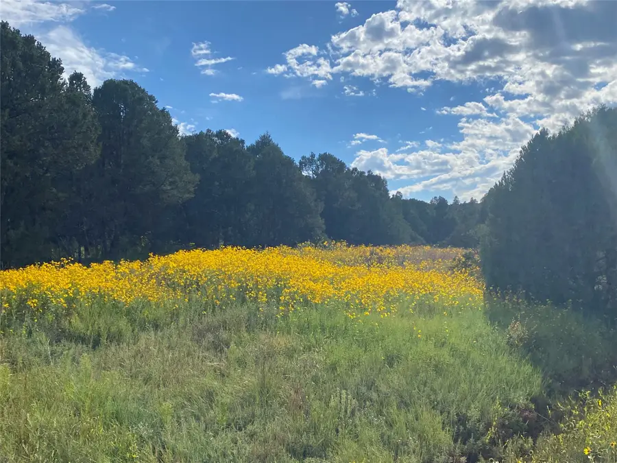 3 Padre Canyon, Glorieta, NM 87535 - #2