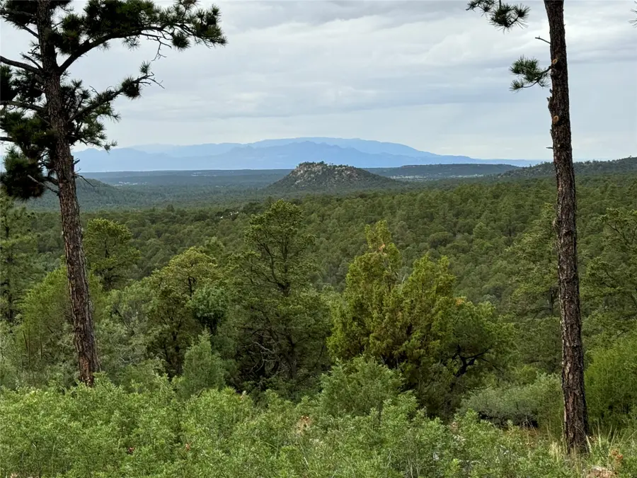 3 Padre Canyon, Glorieta, NM 87535 - #3