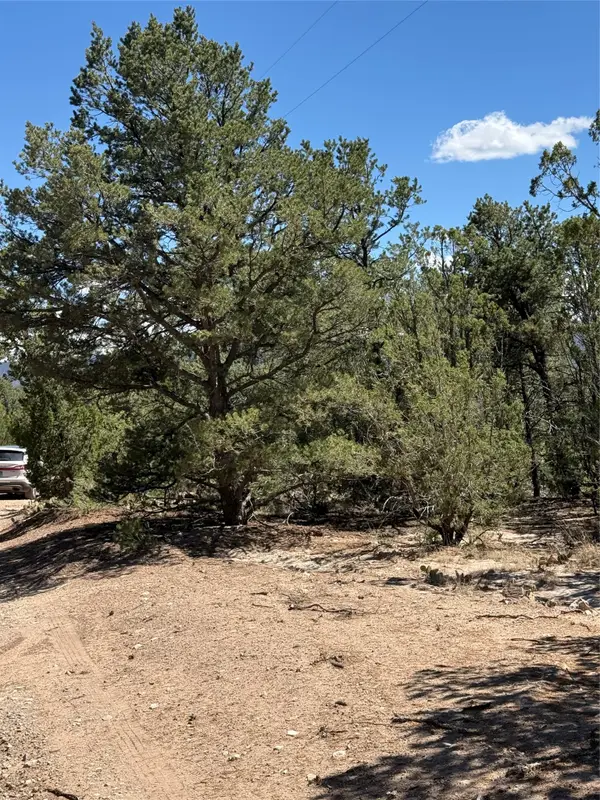 174 Hidden Valley Ranch Road, San Ysidro, NM 87538