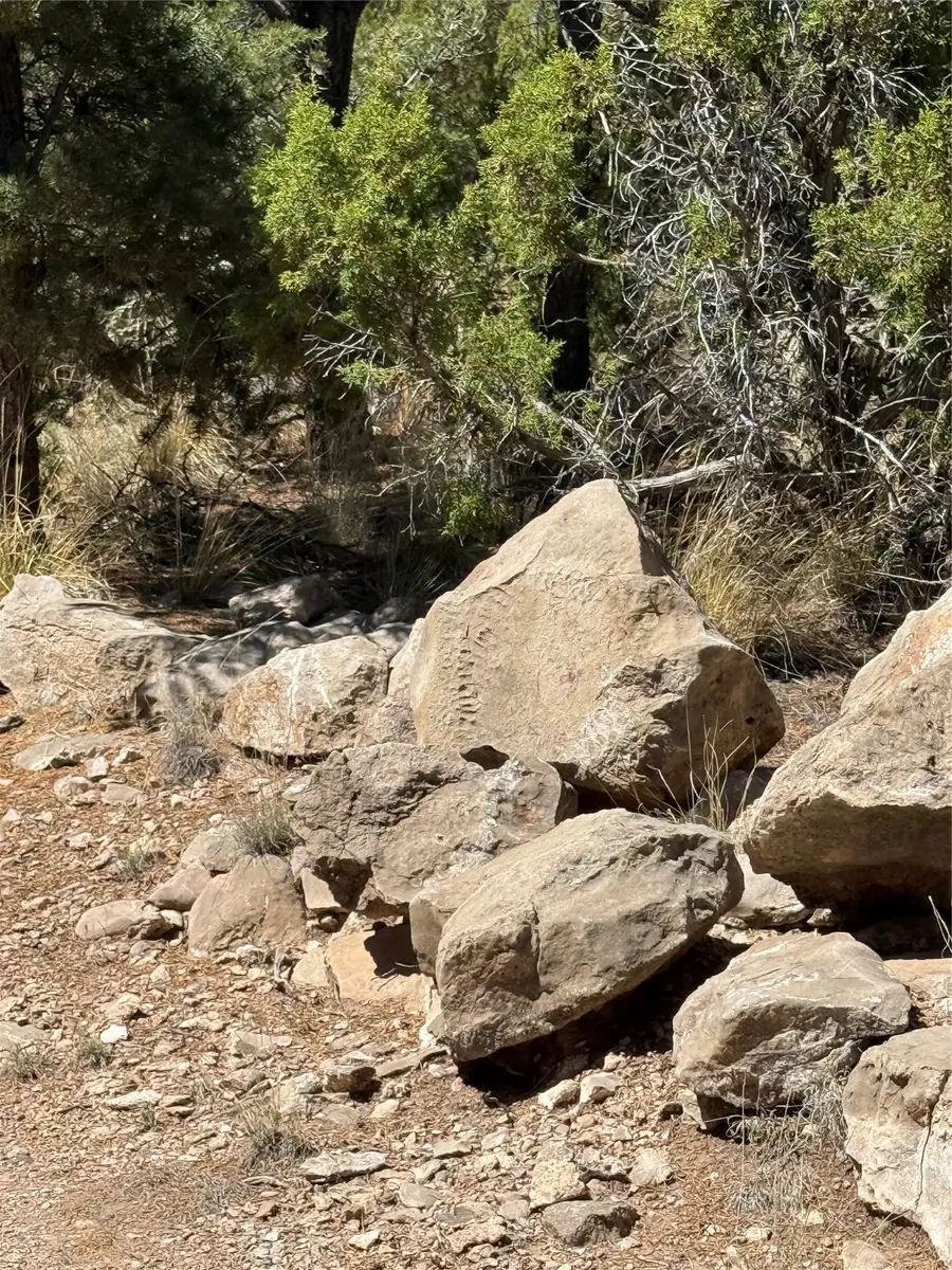 174 Hidden Valley Ranch Road, Ilfeld, NM 87538 - #2
