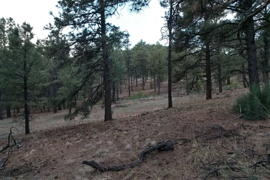 0 A015 County Road, Mora, NM 87732 - #2