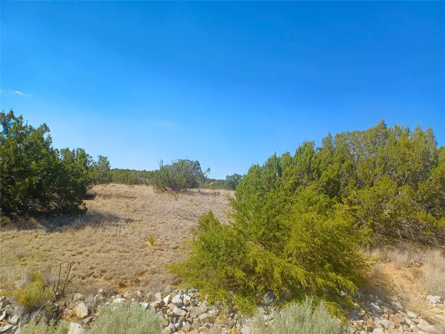 22 Calle Francisca, Santa Fe, NM 87507 - #2