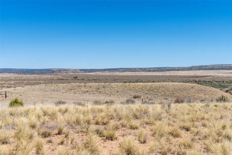 11 Avenida Vieja, Galisteo, NM 87540 - #2