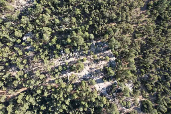 0 Pinon Ridge Road, Pecos, NM 87552