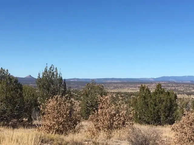 Tract 7B Moondance Ranch, Las Vegas, NM 87701 - #2