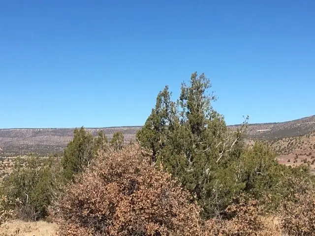 Tract 7B Moondance Ranch, Las Vegas, NM 87701 - #3