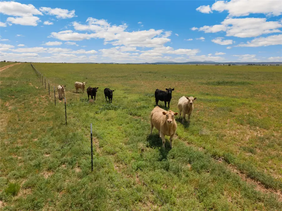 1021 Dinkle Road, Stanley, NM 87056 - #2