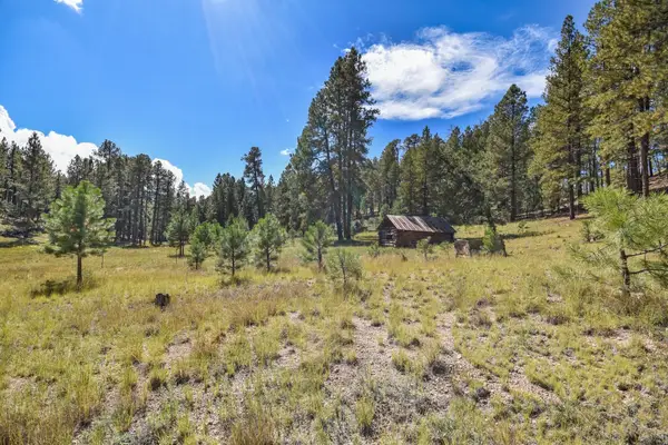 27.5 Acres Jemez Mountains Forest Rd 10, Jemez Springs, NM 87025