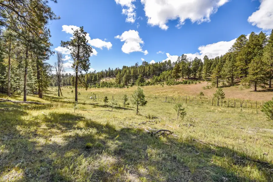 27.5 Acres Jemez Mountains Forest Rd 10, Jemez Springs, NM 87025 - #2