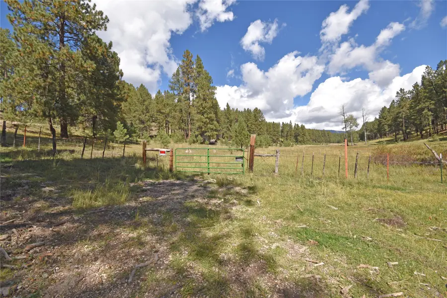 27.5 Acres Jemez Mountains Forest Rd 10, Jemez Springs, NM 87025 - #3