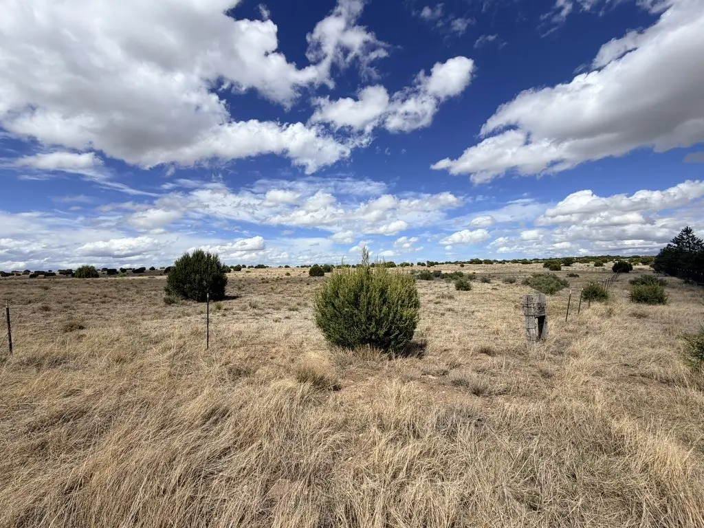 Lot 14 Bonita Estates, Las Vegas, NM 87701 - #1