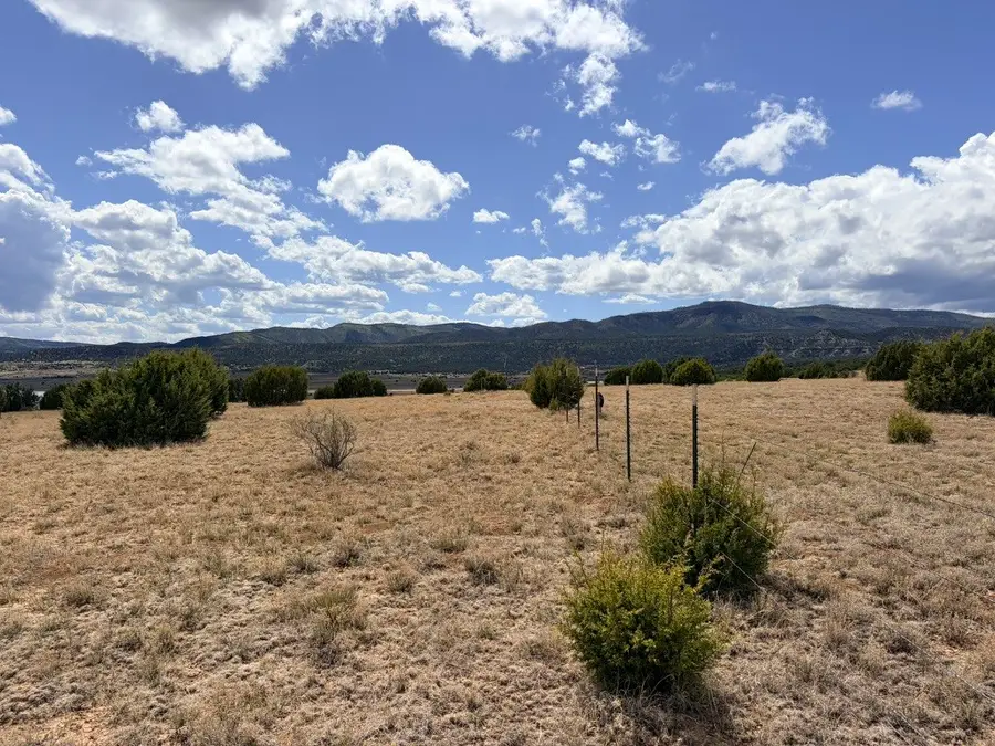 Lot 14 Bonita Estates, Las Vegas, NM 87701 - #3