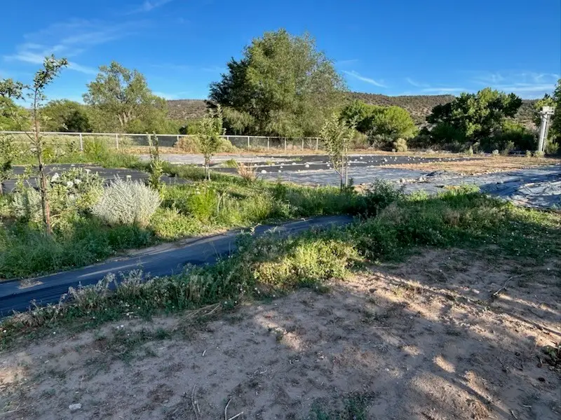 107 Cr 51, Velarde, NM 87582 - #3